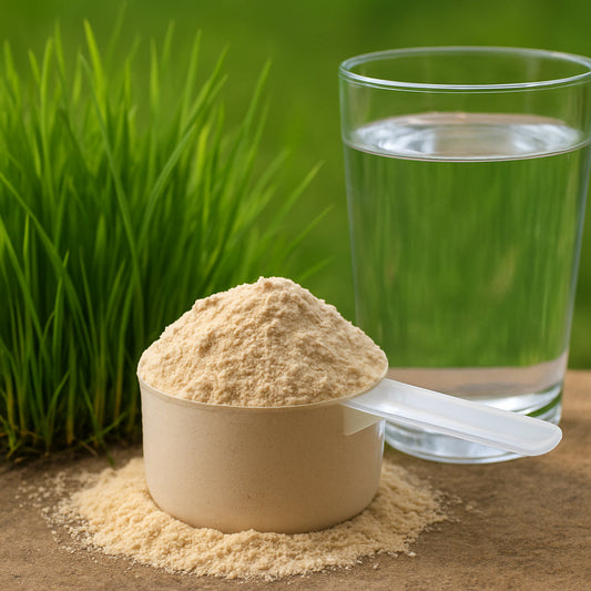 A close‑up of a scoop of grass‑fed whey protein isolate powder beside fresh green grass and a glass of water. Alt: Grass fed whey protein isolate powder with fresh pasture background