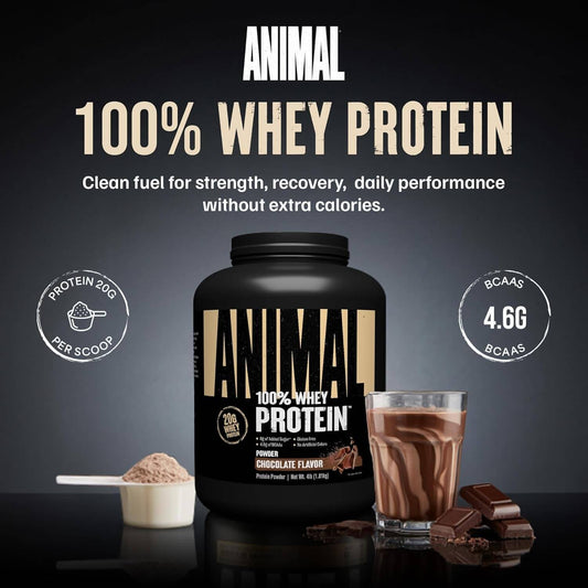 Animal 100% Whey Protein Powder – Whey Blend for Pre Workout or Post Workout, Recovery, or an Anytime Low Sugar Protein Boost Meal Replacement with BCAA Branched Chain Amino Acids – Chocolate, 4 Lb