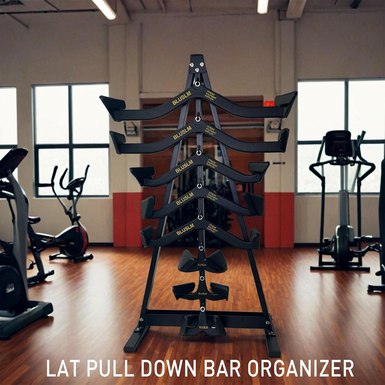 Lat Pull Down Bar Storage Rack holding multiple rows and tricep ropes.