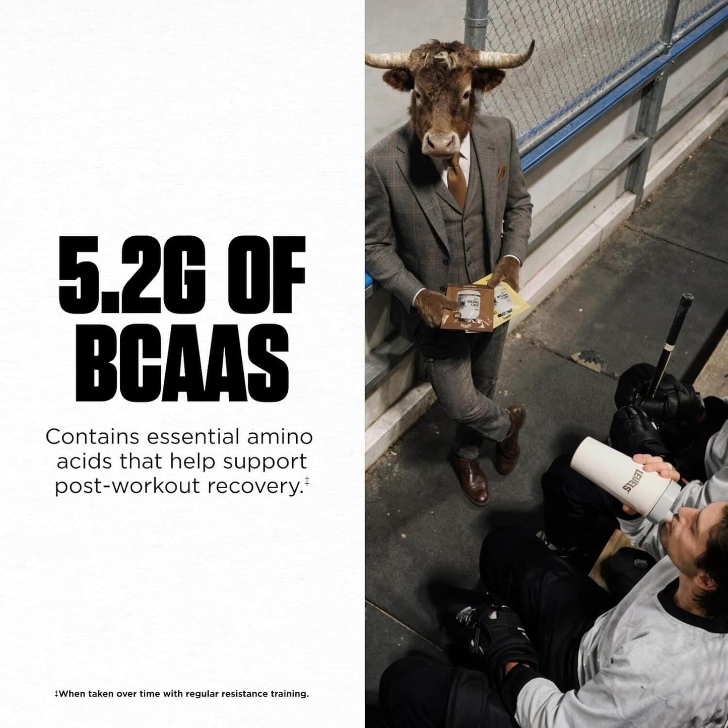 Levels 100% Micellar Hormone Free Casein Protein (Chocolate & Vanilla Bean)